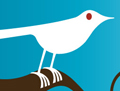 bird bird