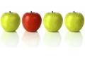 Apples Apples